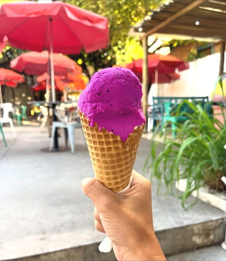 Casquinha com gelato roxo de fruta, no deck da gelateria